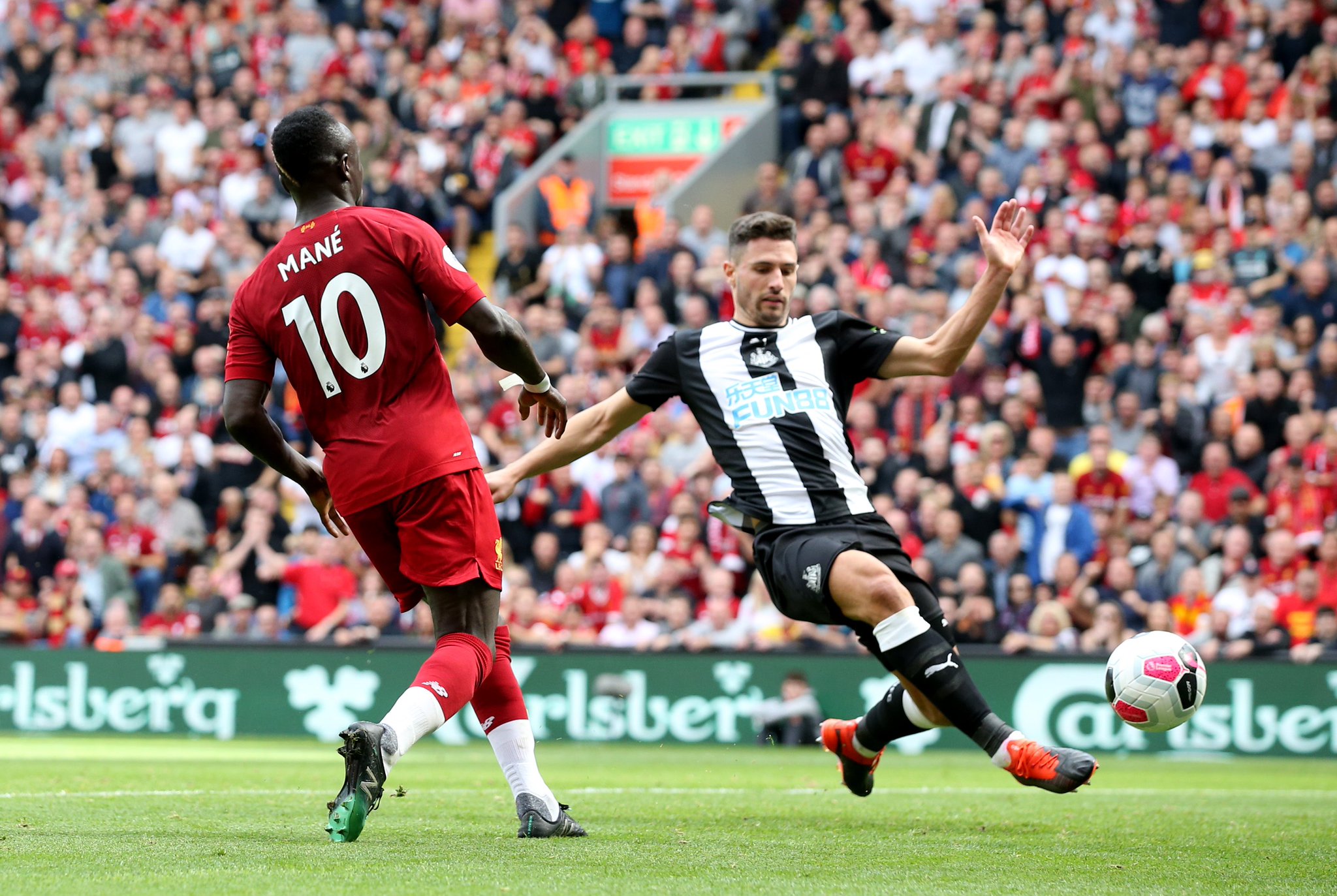 布里斯班獅 布里斯班獅